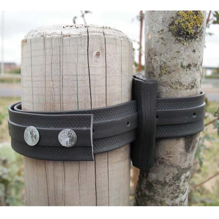 Abstandhalter für 2,5 cm Baumbänder