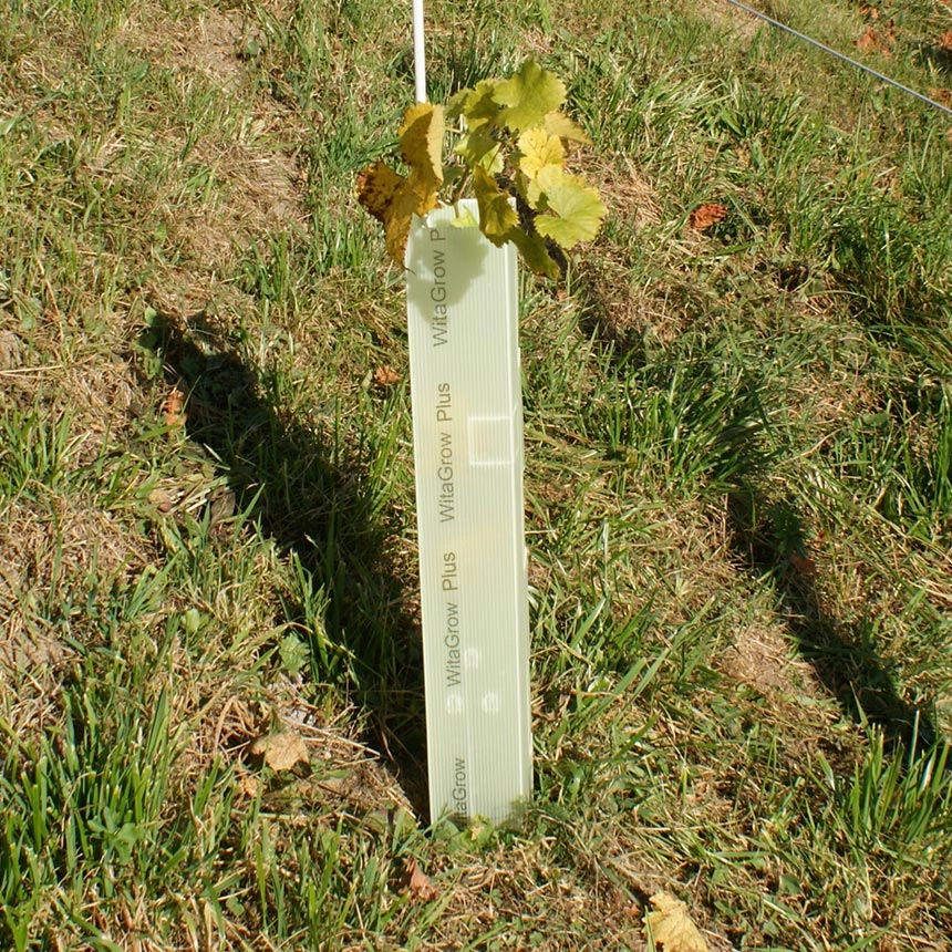 WitaGrow Plus Rebschutzsäule WitaGrow Plus Rebschutzsäule