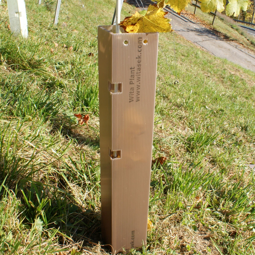 WitaPlant MV Rebschutzsäule 60 cm