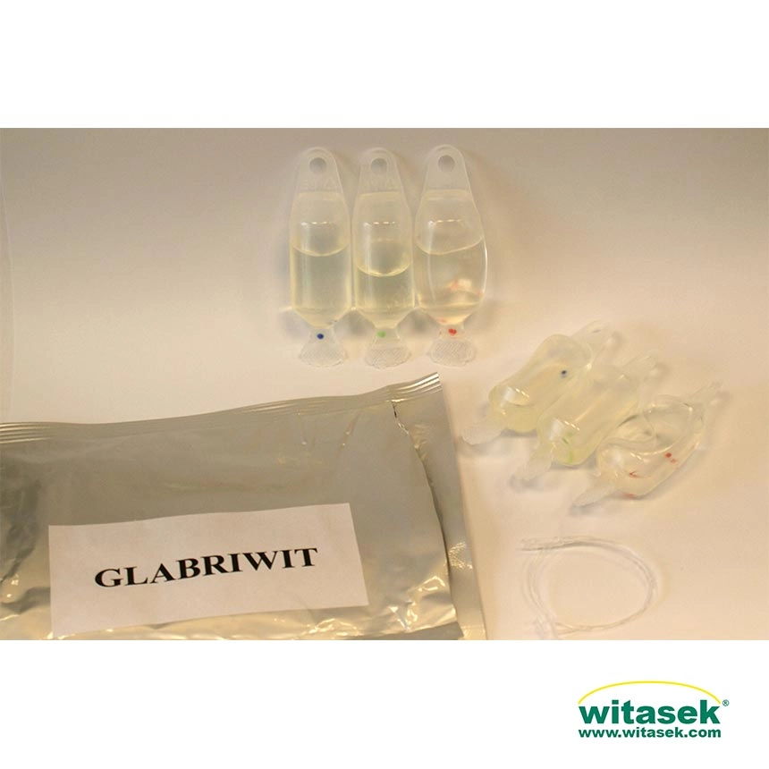 Glabriwit Pro - Pheromon zur Anlockung des Asiatischer Laubholzbockkäfer (Anoplophora glabripennis)