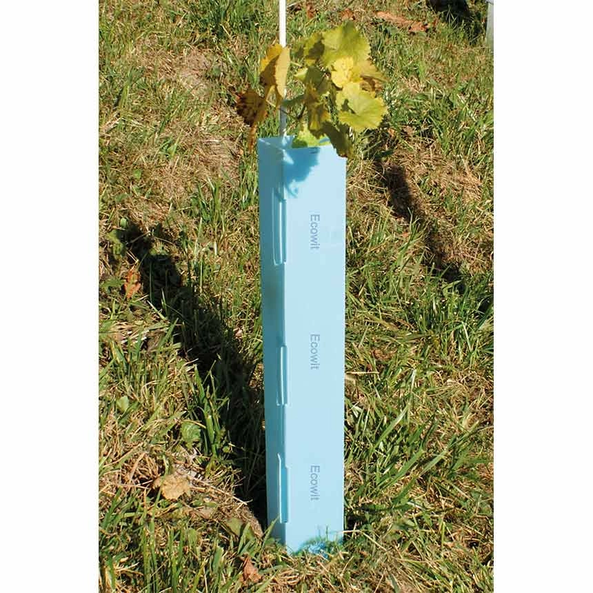 Rebschutzsäule Ecowit 50 cm - blau