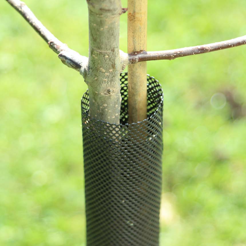WitaKnabb-Net Fege-/Stammschutzgitter