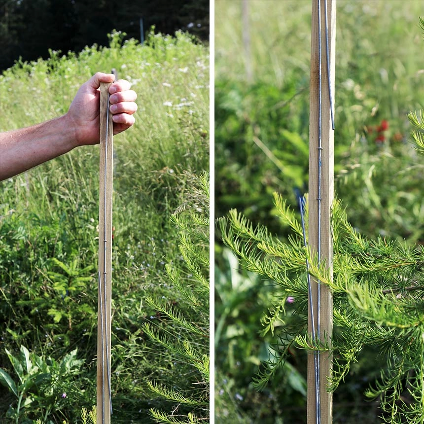 240861_WitaPro-Fegeschutzstab_01 WitaPro Fegeschutzstab aus Akazienholz und Draht