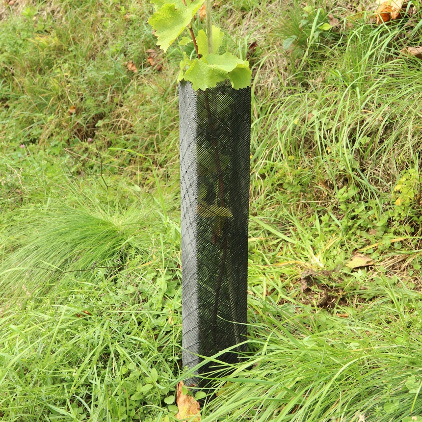 Klimawit Smart 180 - Rolle zu 50lfm/Ø11cm, Rebschutznetz