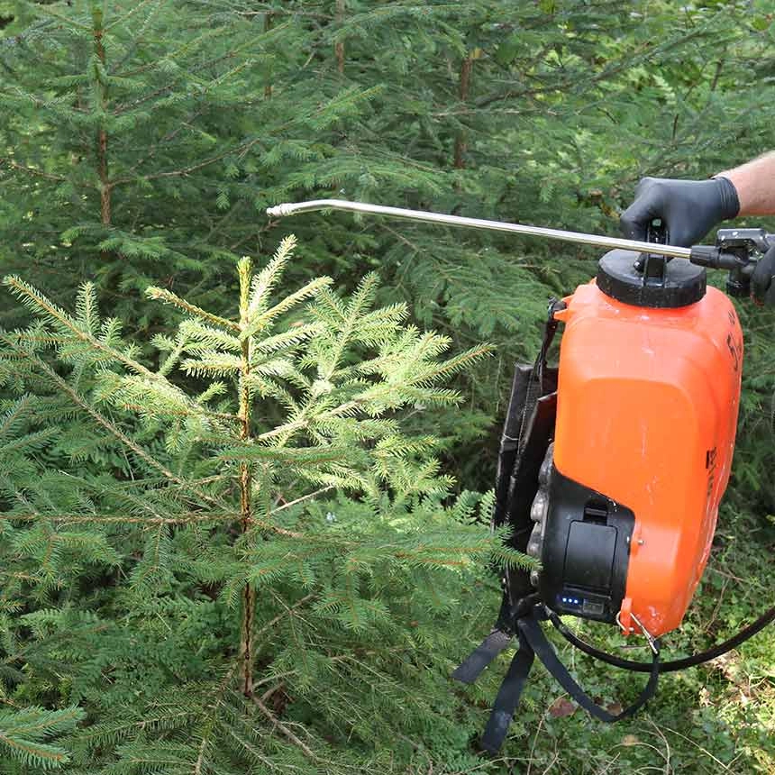 Certosan - biological browsing repellent - application with battery-powered backpack sprayer