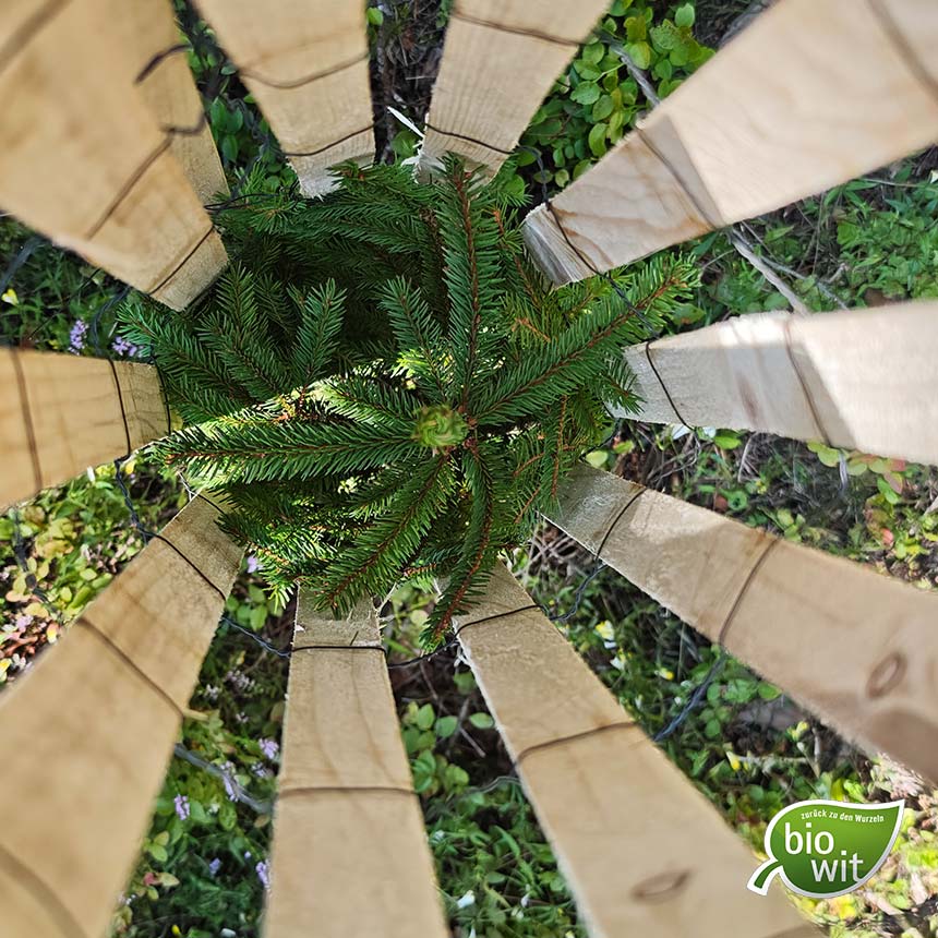 WitaPro Freiwuchs 300, 120 cm, Wuchsraumdurchmesser ca. 20 cm