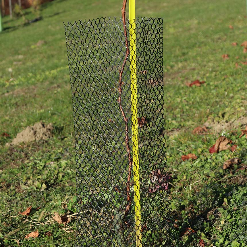 Klimawit Rabbit - 60 cm, vine protection netting