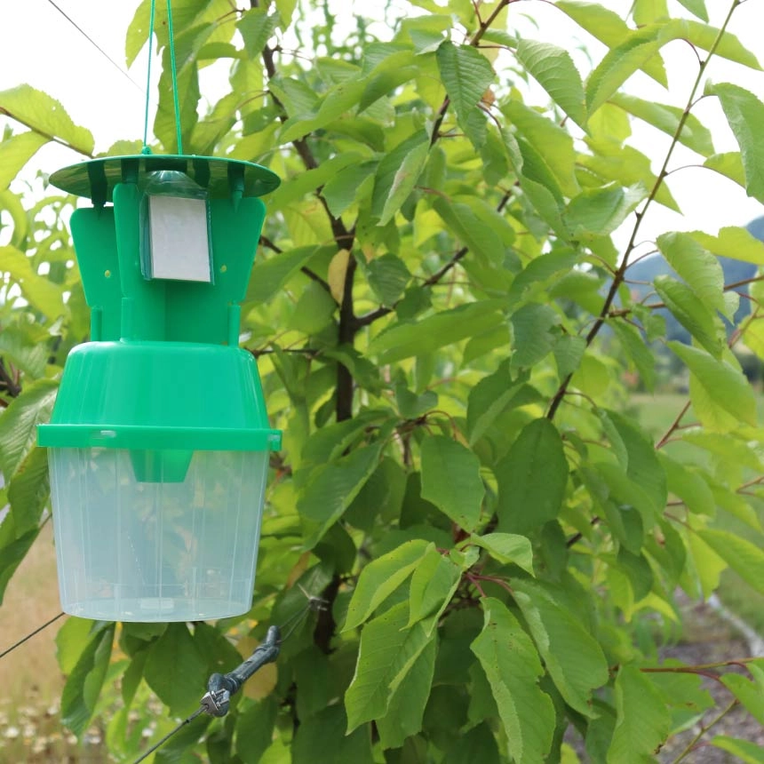 WitaTrap Funnel Trap Pro with standard dispenser pheromone
