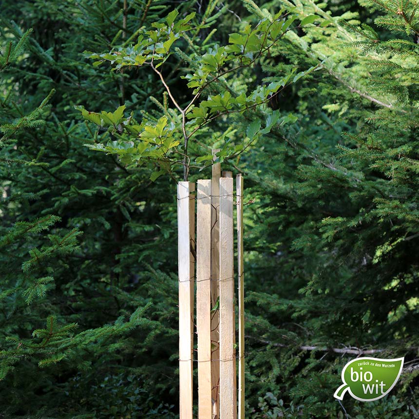 WitaPro Duo Tree Shelter