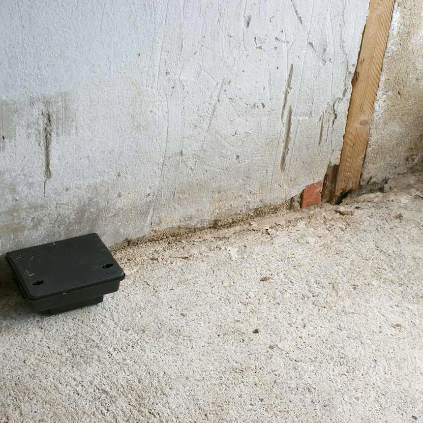 Positionierung Köderbox gegen Ratten und Mäuse