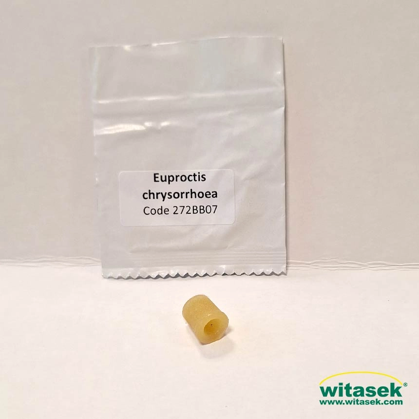 Chrysowit - Pheromon gegen den Goldafter (Euproctis chrysorrhoea) Chrysowit - Pheromon gegen den Goldafter (Euproctis chrysorrhoea)