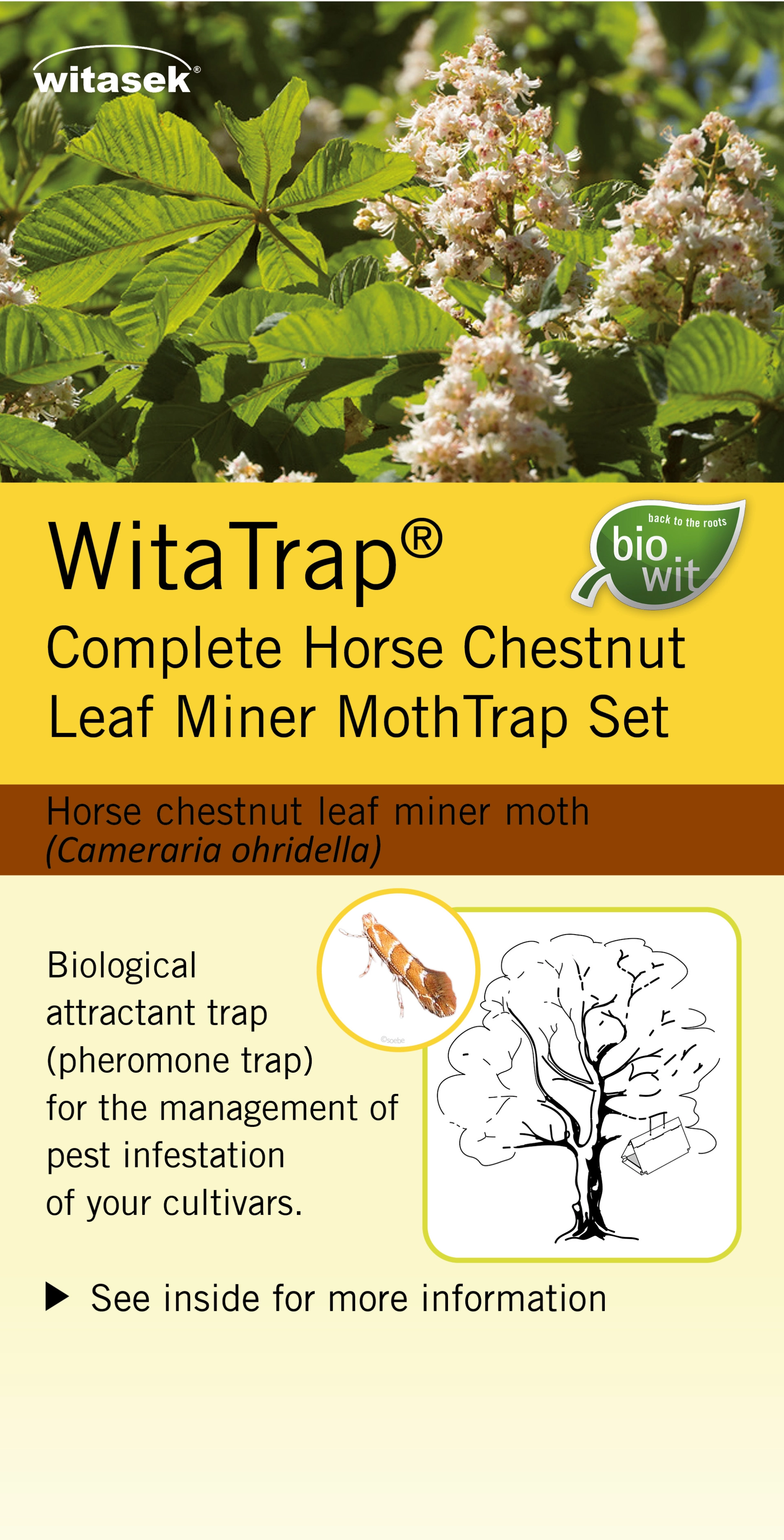 WitaTrap Complete Horse Chestnut Leaf Miner Moth Trap Set