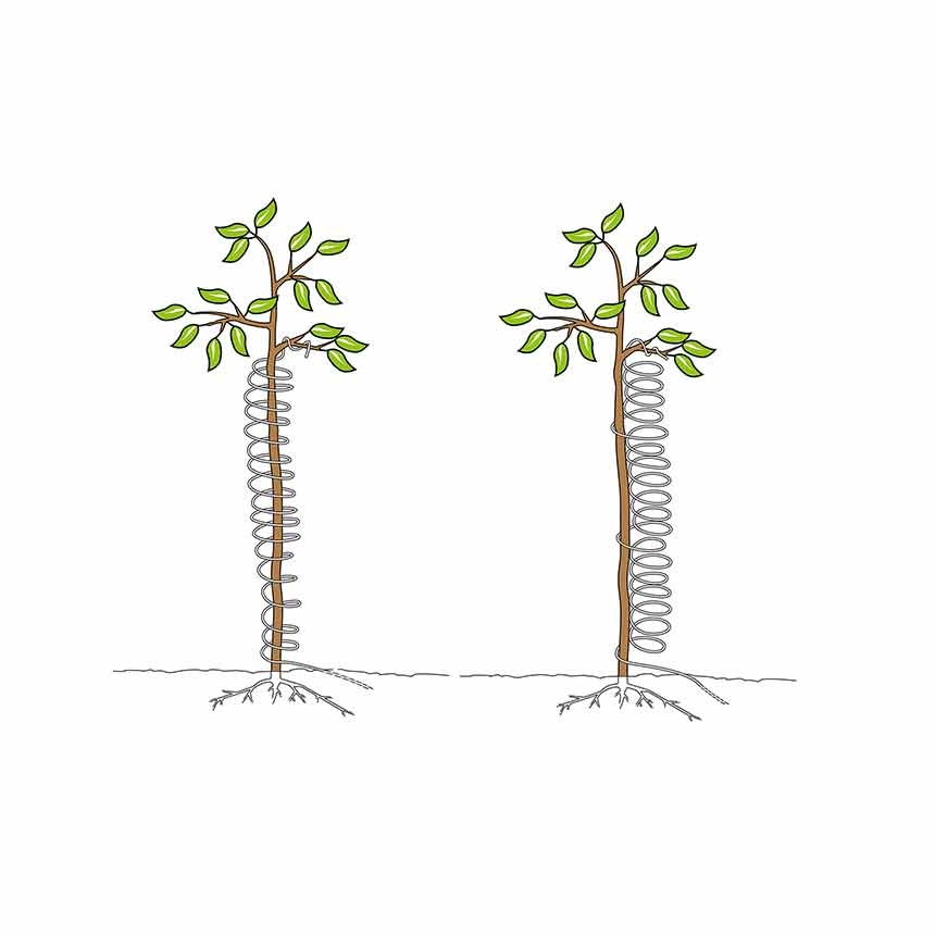 MONO iron anti-fraying spiral - installation deciduous wood MONO iron anti-fraying spiral - installation deciduous wood