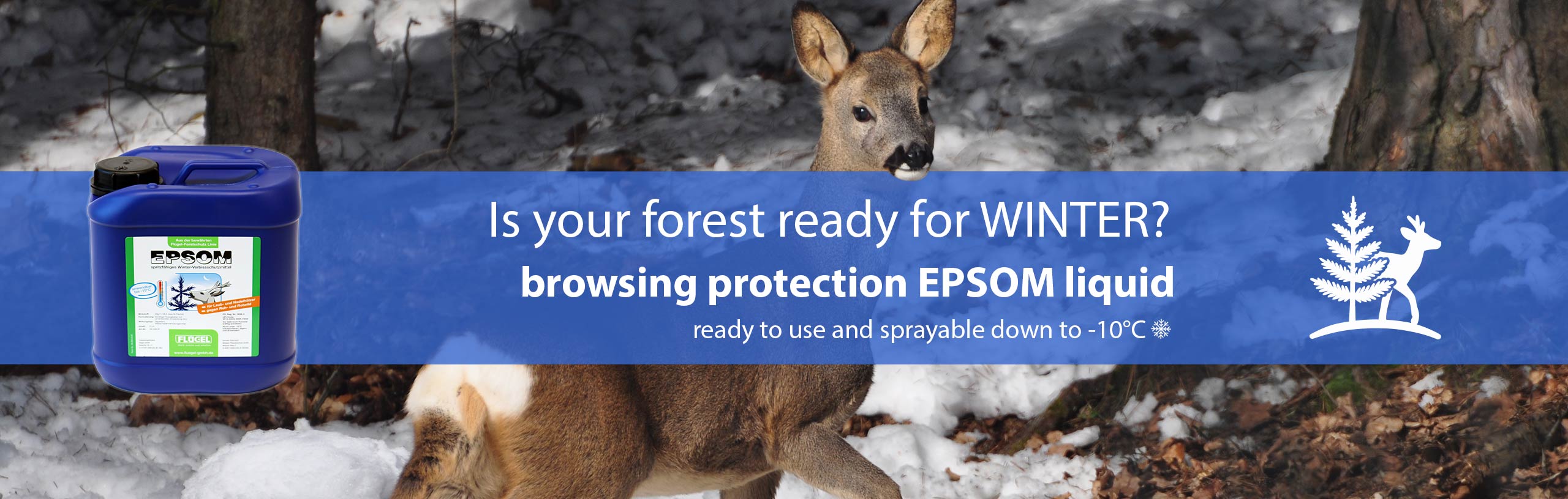slider-witasek_winter-browsing-protection_EPSOM