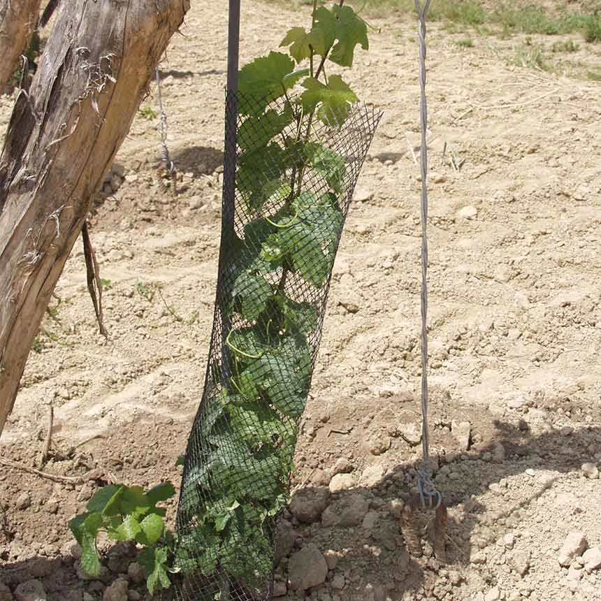 Rabbit standard Rebschutznetz