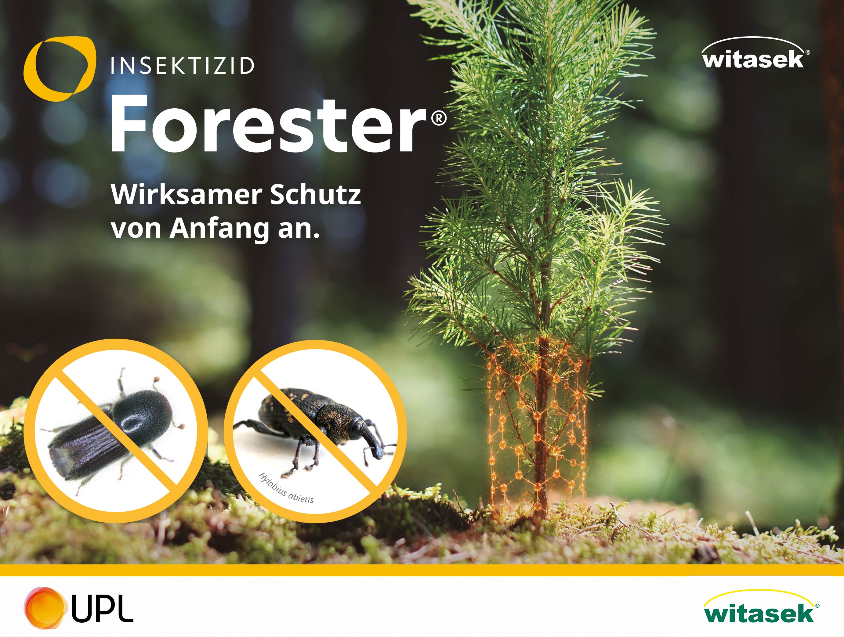 Blog-Witasek_Forester-Insektizid_384x290
