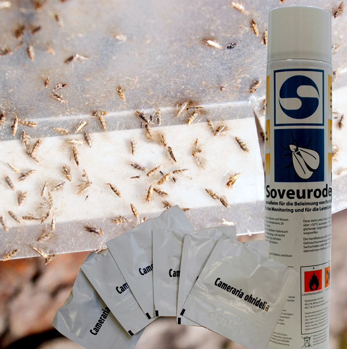 Chestnut Leaf Miner Moth Trap Sheet Set