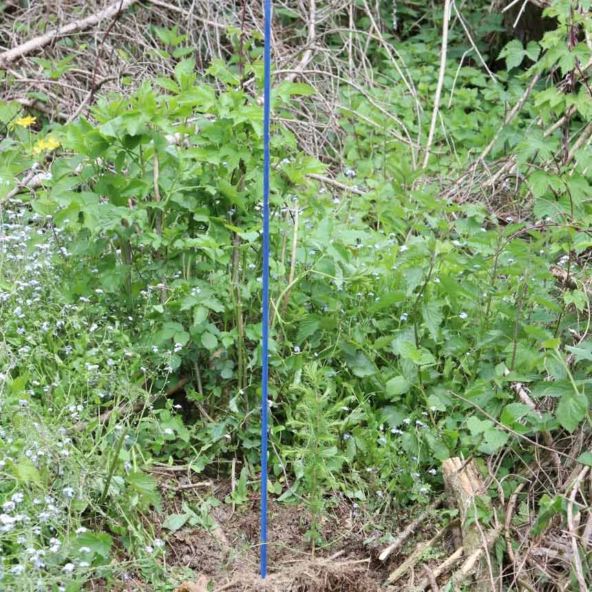 WitaPro fibreglass rod as marking rod