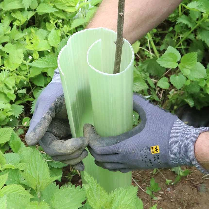 EcoTub Wrap, Schutzhöhe 60 cm, Rebschutz
