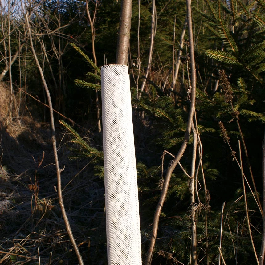 241231_WitaKnabb-Net_weiss_01 WitaKnabb-Net weiß