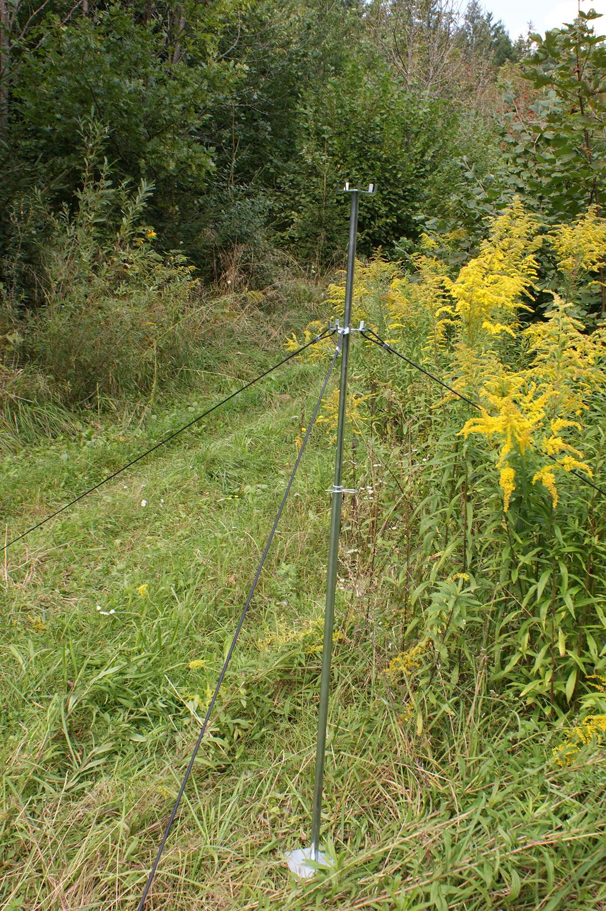 WitaTrap Trap Stand for Three Bark Beetle Slit Traps WitaTrap Trap Stand for Three Bark Beetle Slit Traps