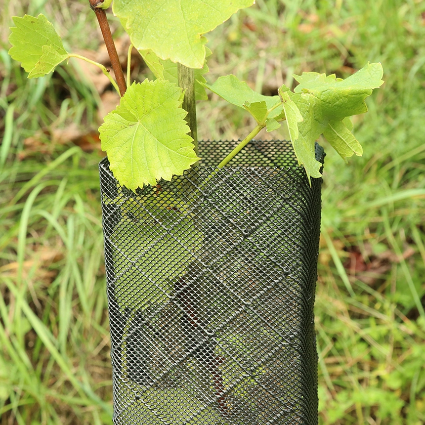 Klimawit Smart 180 - Rolle zu 50lfm/Ø11cm, Rebschutznetz