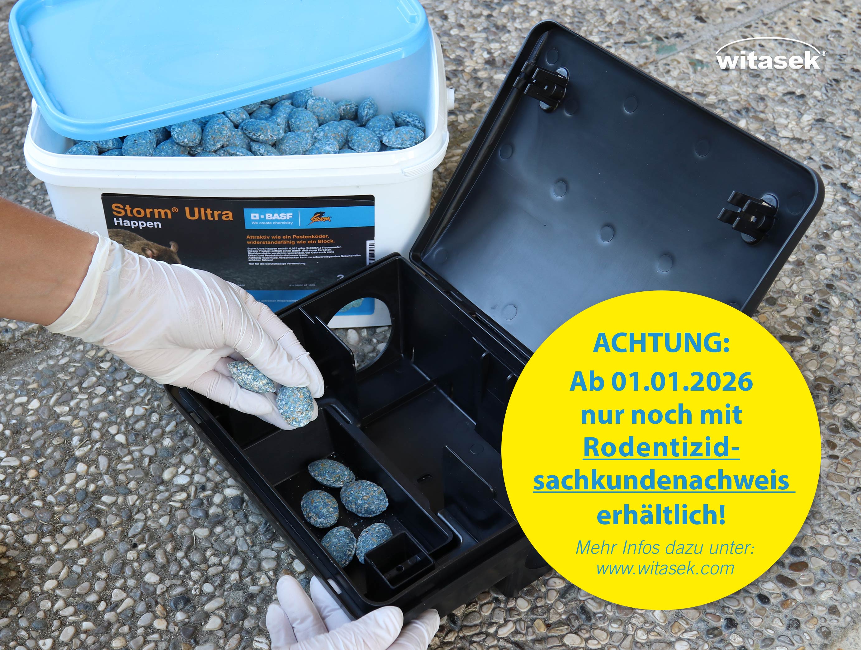 Blog-Witasek_Storm_384x290 Blog-Witasek_Storm_384x290