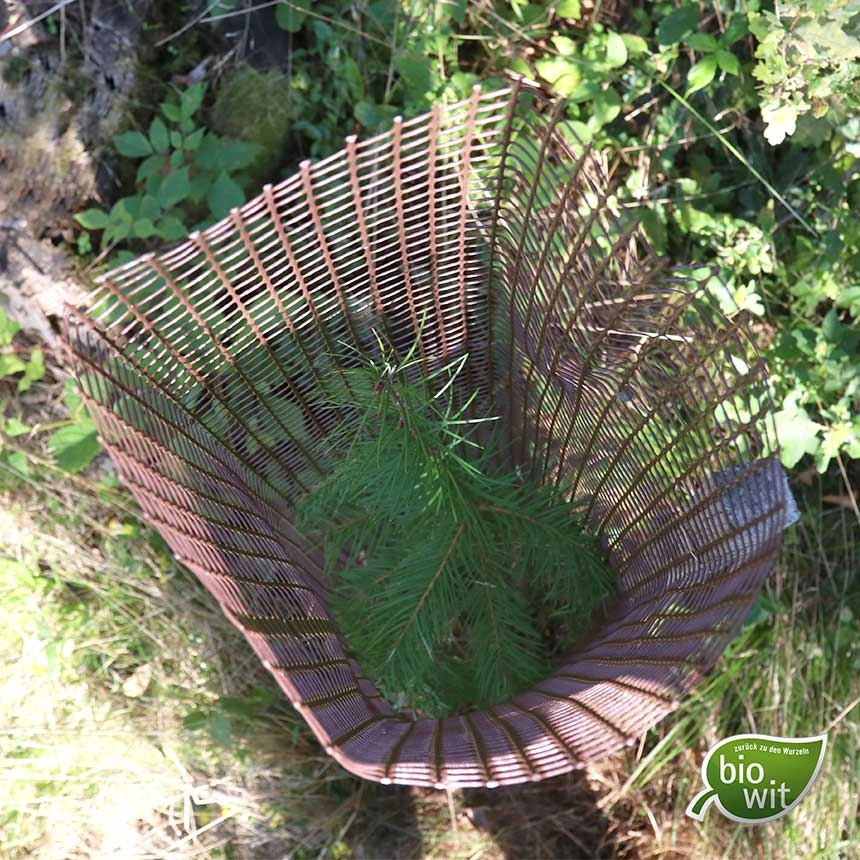 BioWit Freiwuchs 300, biologisches Baumschutzgitter