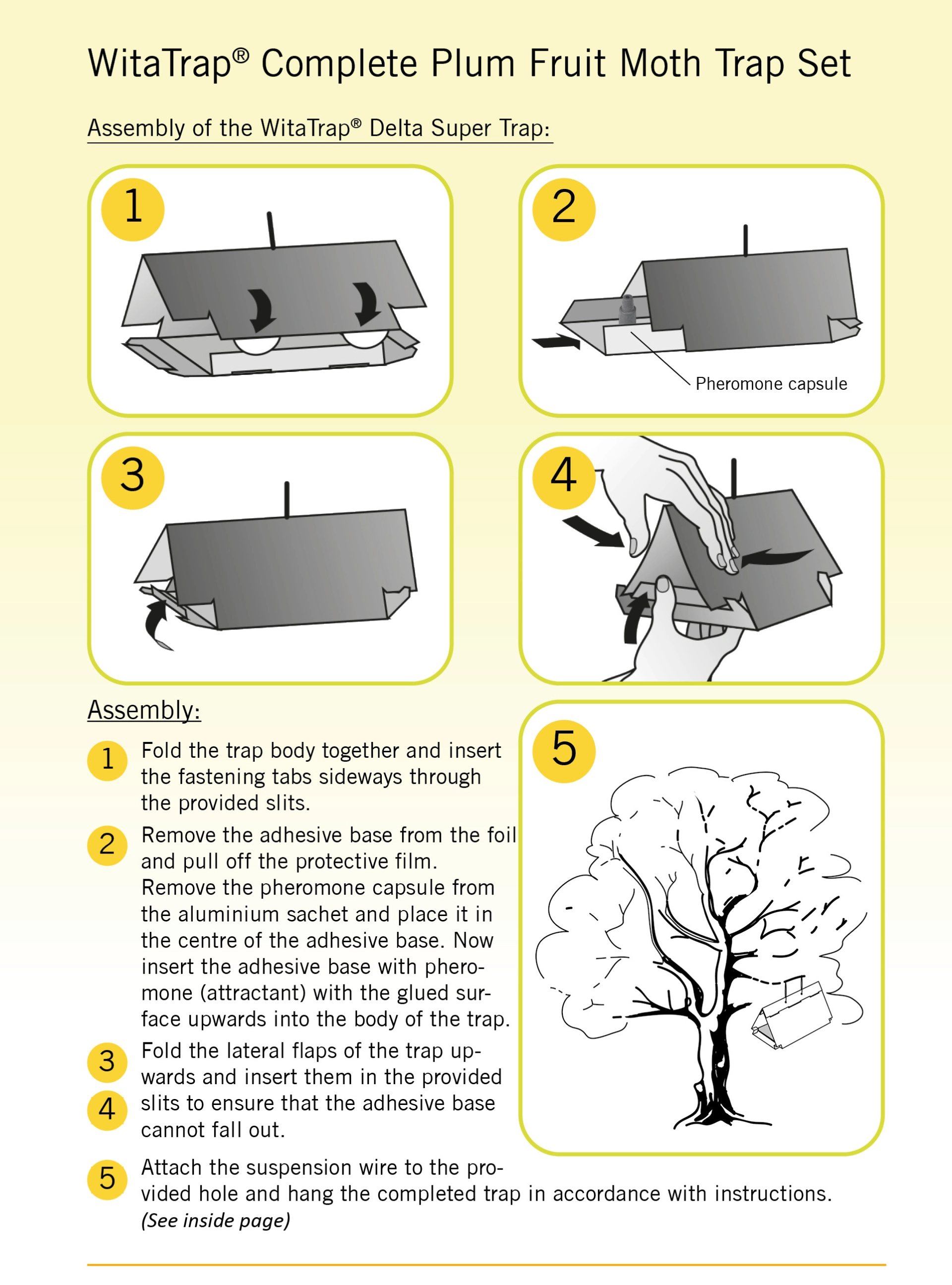 WitaTrap Complete Plum Fruit Moth Trap Set - Assembly