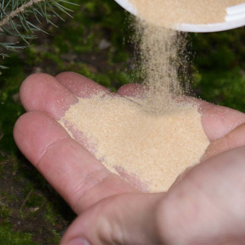 Witalgin (Forstalgin) - against root drying