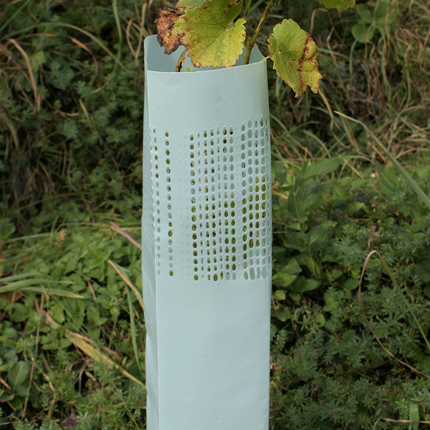 WitaHüll Light