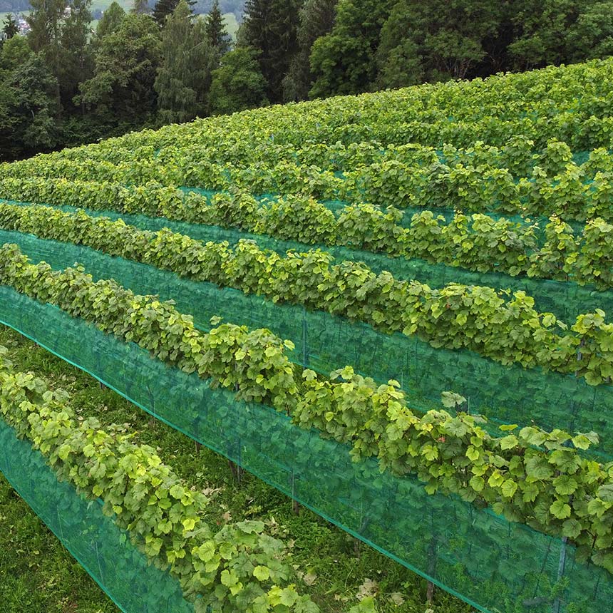 WitaNet Seitenbespannung