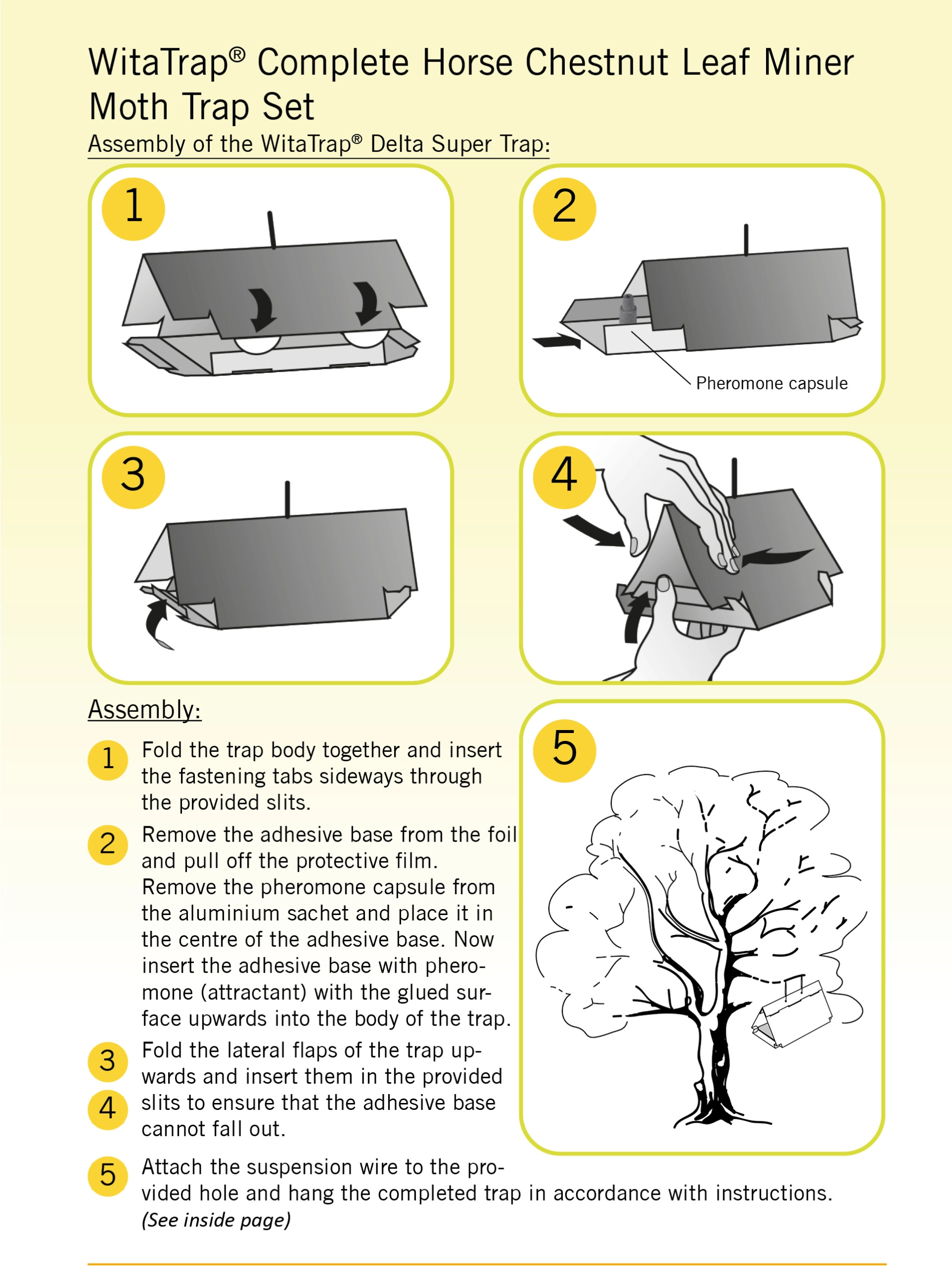 WitaTrap Complete Horse Chestnut Leaf Miner Moth Trap Set - Assembly WitaTrap Complete Horse Chestnut Leaf Miner Moth Trap Set - Assembly