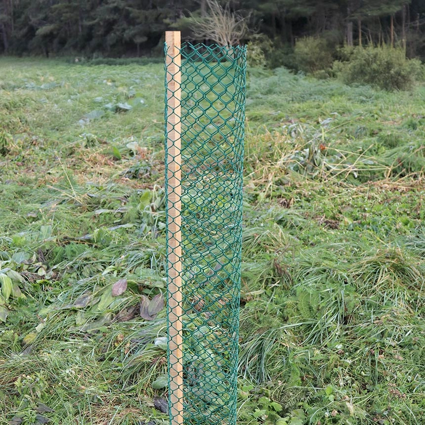 Freiwuchs Econom 300