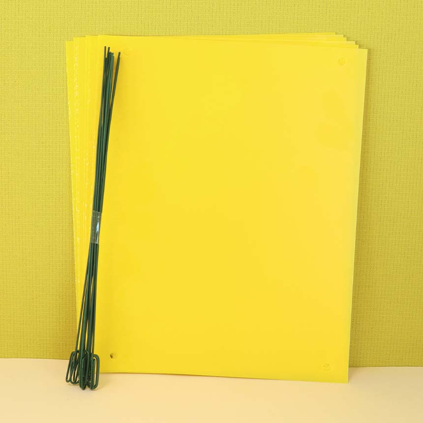 Yellow Panel - sticky