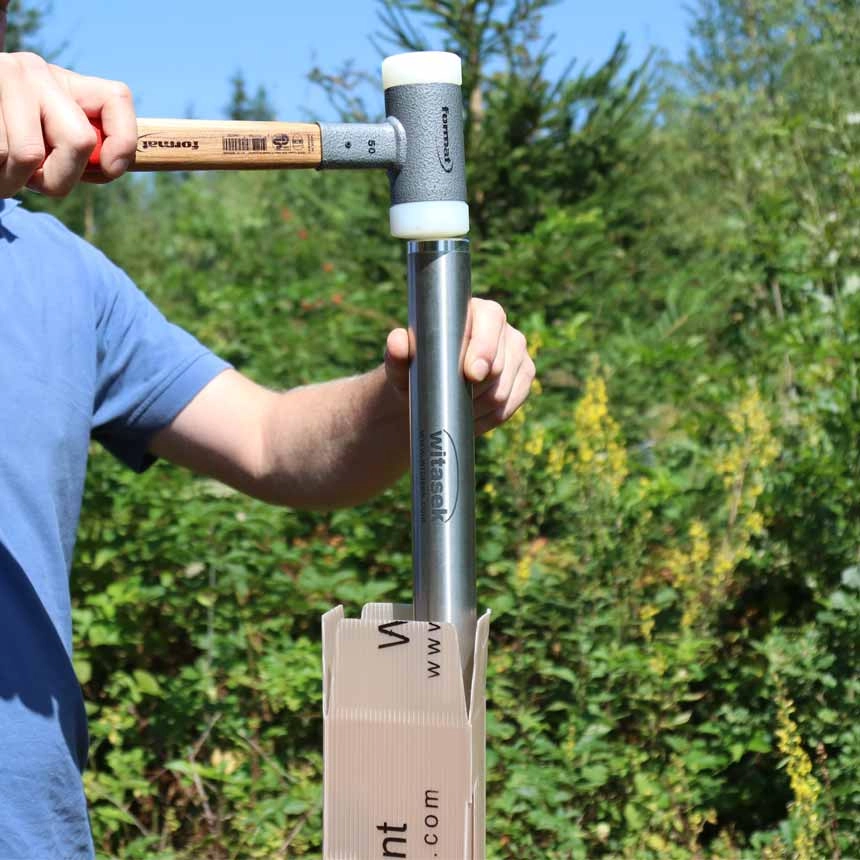 Schonhammer