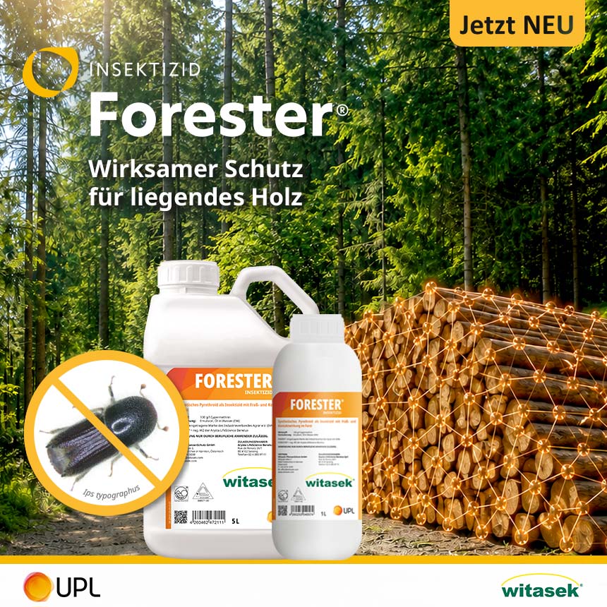Forester - 1 Liter Gebinde