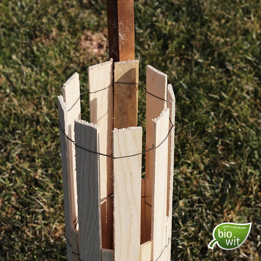 WitaPro Duo Rebschutz aus Holz, 60 cm