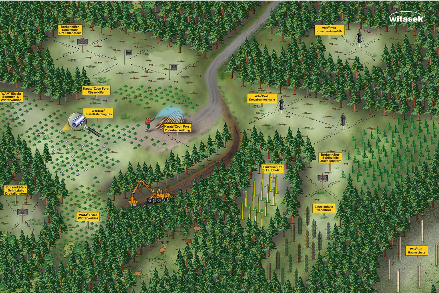 Prospekt_Forstskizze