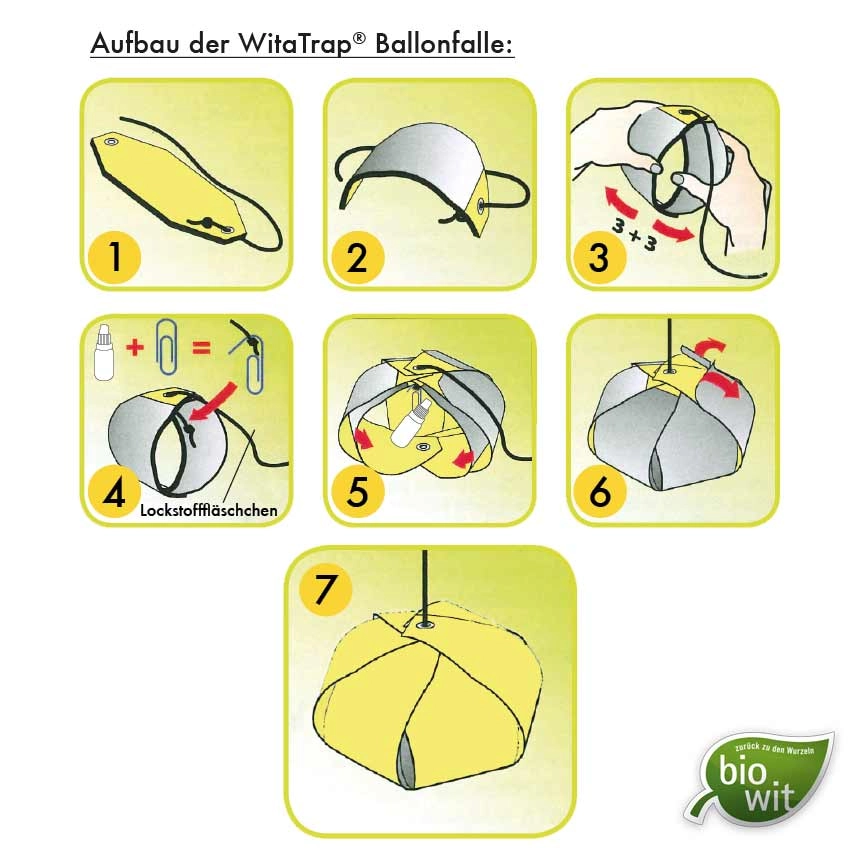 Aufbauanleitung WitaTrap Kirschfruchtfliege Komplettset