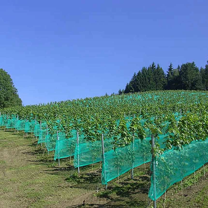 WitaNet Seitenbespannung grün