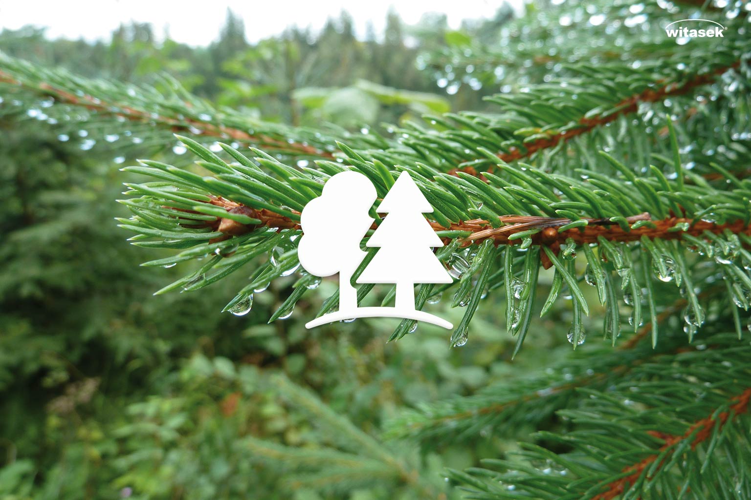 Katalog_Baumschutz_Witasek