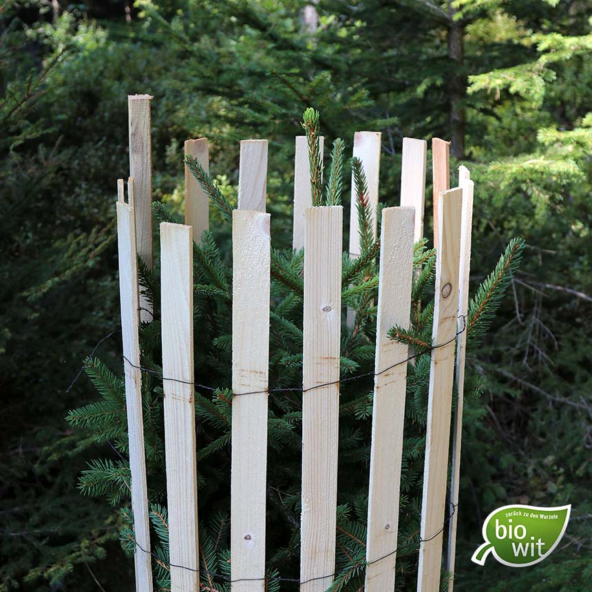 WitaPro Freiwuchs 500, 120 cm, Wuchsraumdurchmesser ca. 30 cm