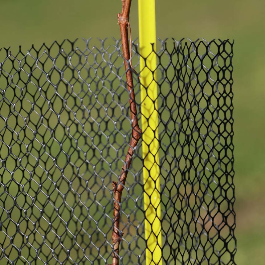 Klimawit Rabbit - 60 cm, vine protection netting
