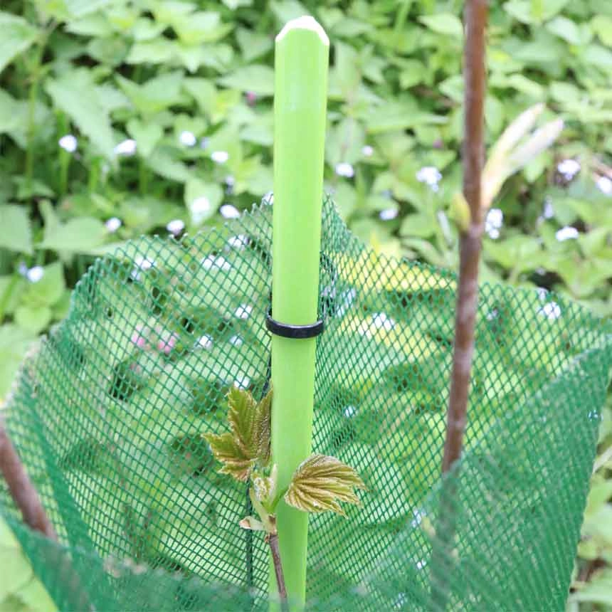WitaPro fibreglass rod with KlimaWit Light