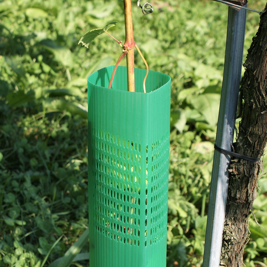 DuoTub - Rebschutzsäule