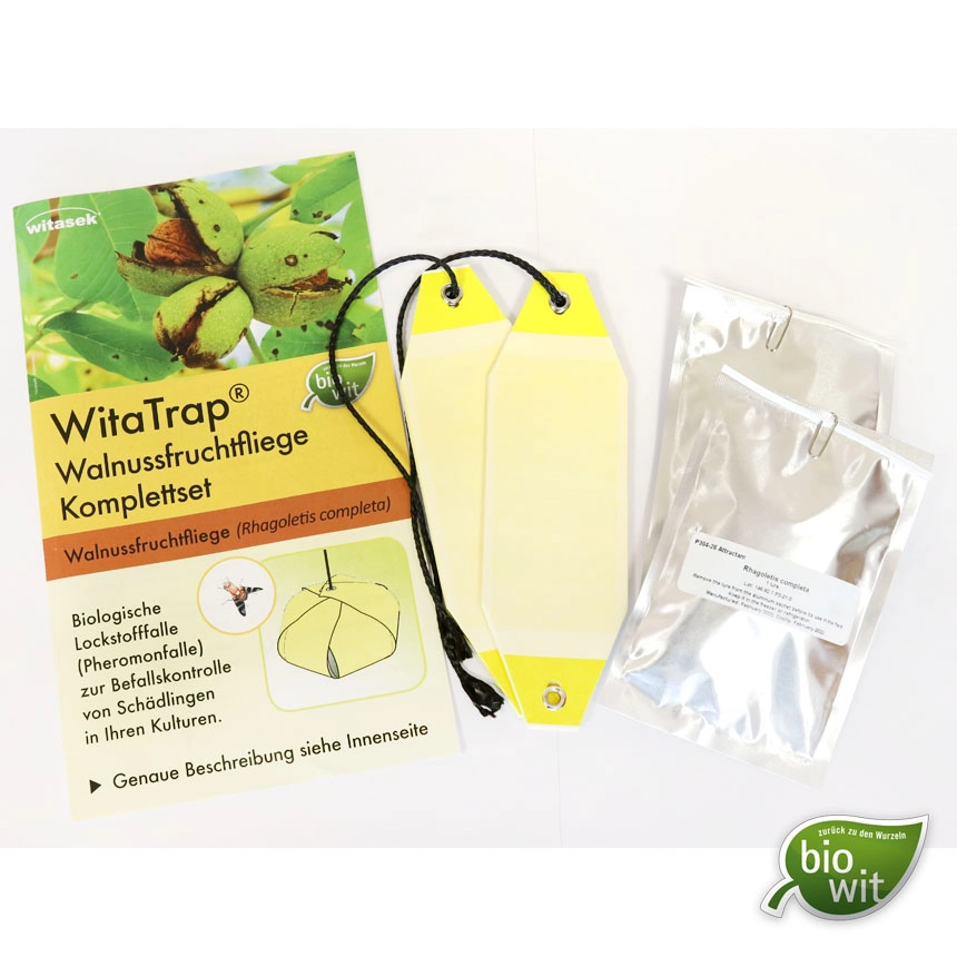 WitaTrap Walnussfruchtfliege Komplettset (Rhagoletis completa)
