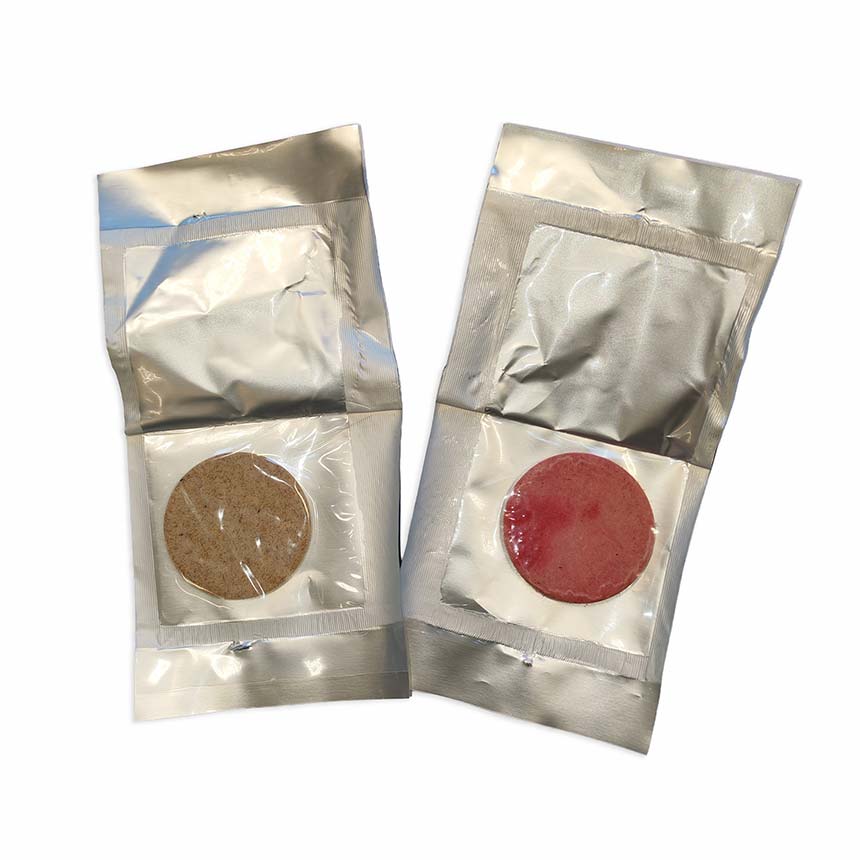 Halyowit - brown marmorated stink bug