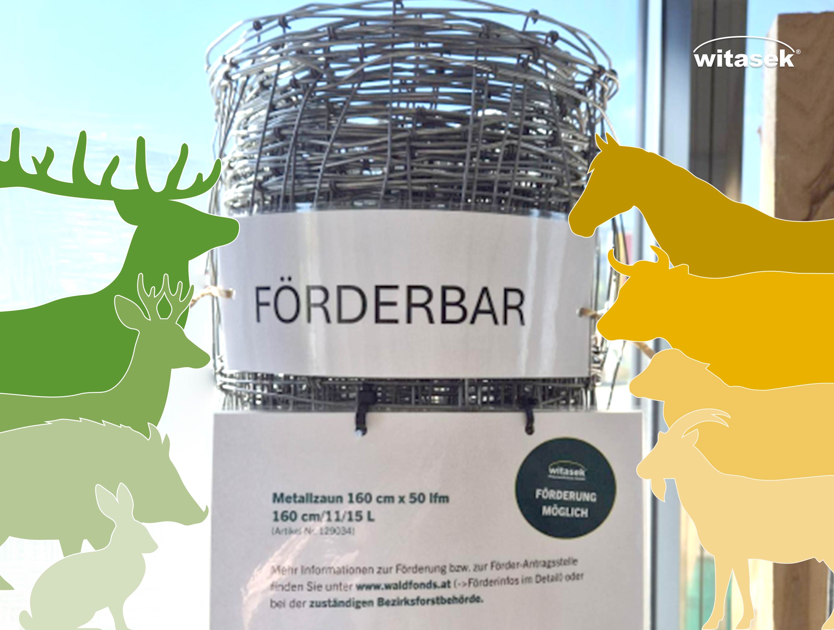 Blog-Witasek_Metallzaun2_384x290