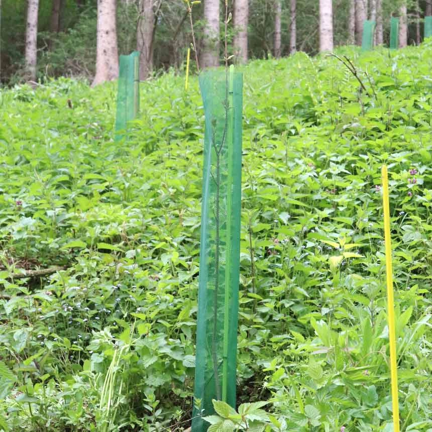 WitaPro fibreglass rod with KlimaWit Light
